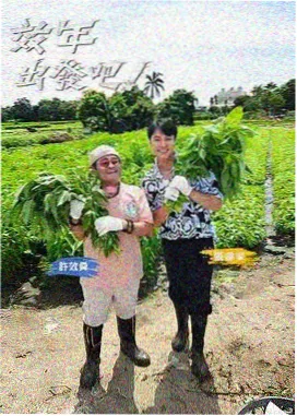 青苹果影院周末综艺大玩家